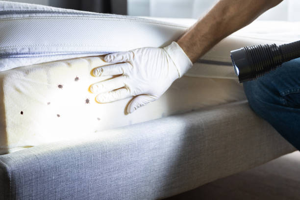 Best Local Pest Control Services  in Evansville, IN