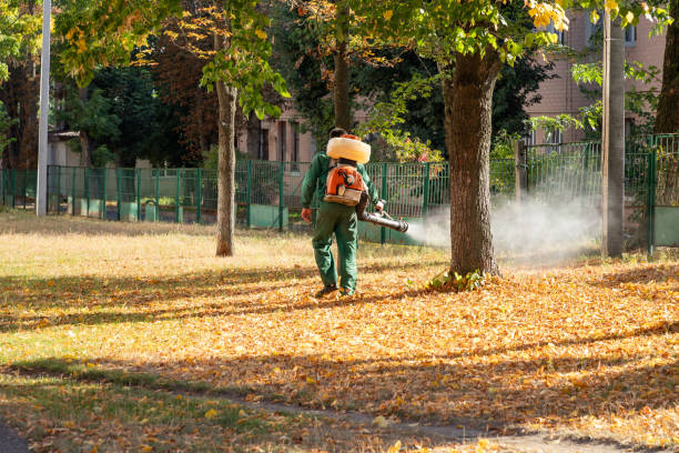 Best Rodent Control Near Me  in Evansville, IN