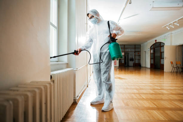 Best Rat Extermination Near Me  in Evansville, IN