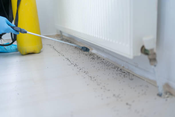 Best Pest Removal Services  in Evansville, IN
