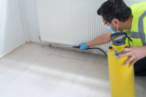 Best Local Pest Control Services  in Evansville, IN