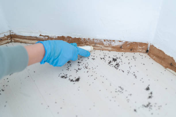 Best Affordable Exterminators  in Evansville, IN