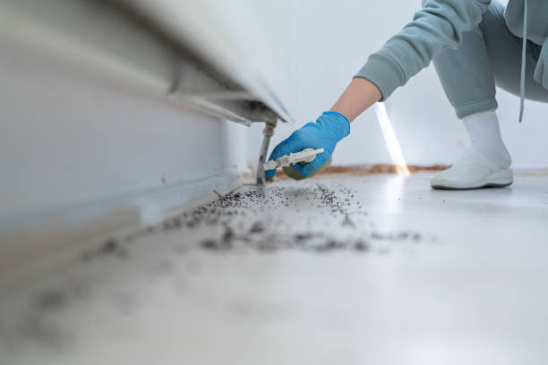 Best Exterminator Services  in Evansville, IN