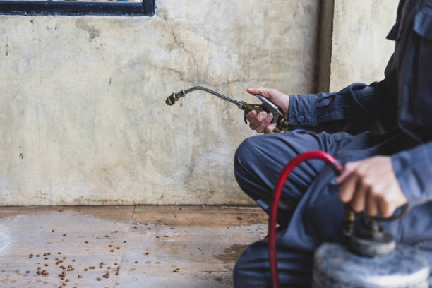 Best Wasp Removal Services  in Evansville, IN