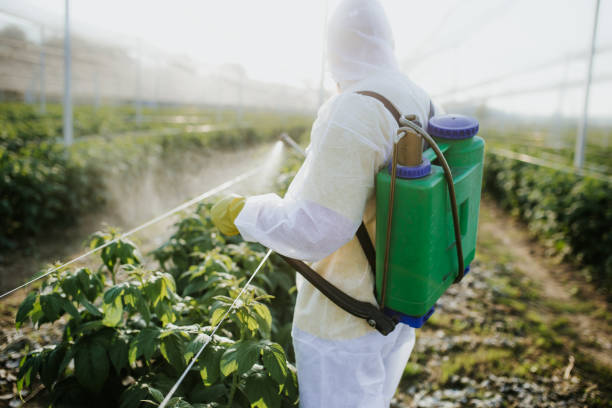 Best Best Pest Control Companies  in Evansville, IN